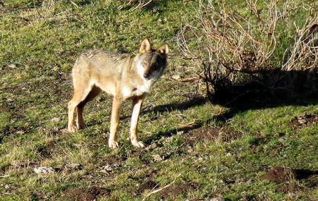 Circuits « Oso » et « Lobo » Natur