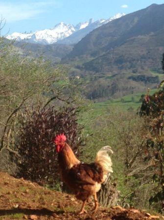 Vivienda vacacional El Nido de la Golondrina paisaje