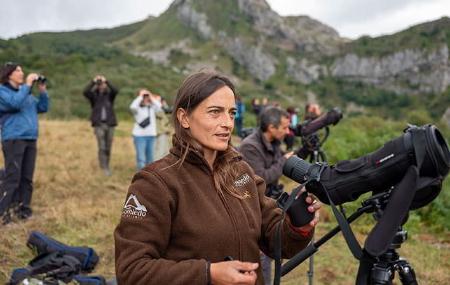 Imagen Avistamiento de osos y ruta interpretativa