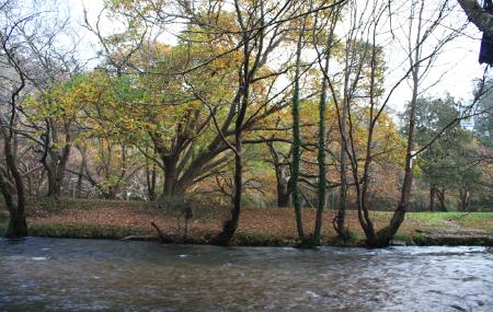 River Porcía