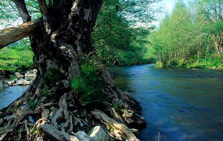 Río Esva