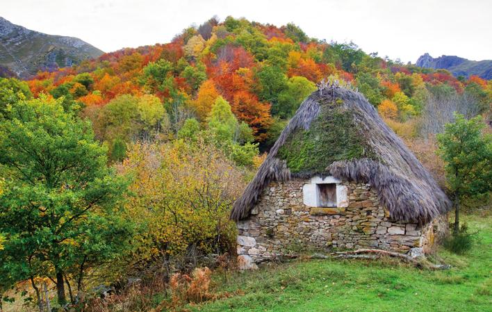 Vai a Immagine Fiume Pigüeña