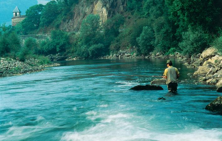 Río Narcea