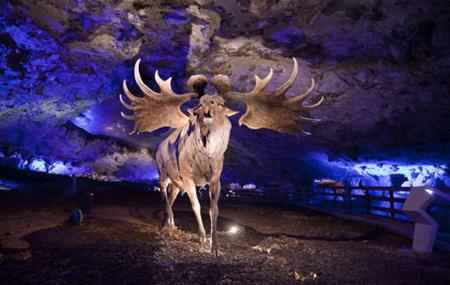 Imagen Höhle von Avín