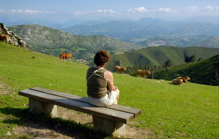 Área recreativa de El Fitu