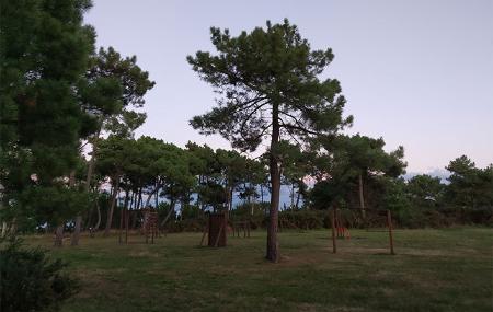 Área recreativa Pinos Altos (Las Piñeras)