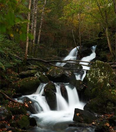 Área recreativa da ponte de Castrillón