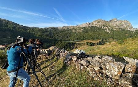 Imagen Observation de l'ours brun dans les Asturies