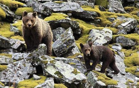 Jarascada Guías de Montaña y Naturaleza