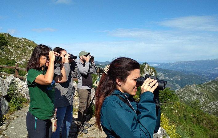 Vai a Immagine Birdwatching e natura