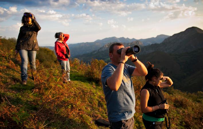 Go to Image Observation of the Berrea in the Natural Park of Redes