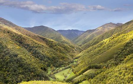 Bosque de Muniellos
