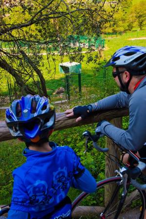 Radfahren entlang der Senda del Oso (Bärenweg), die durch Santo Adriano führt