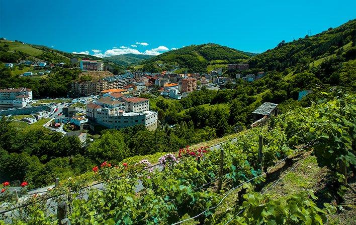 Aller à Image Aire de camping-car à Cangas del Narcea