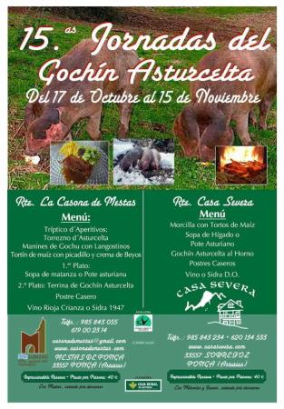 XV Jornadas del Gochín Asturcelta. Ponga