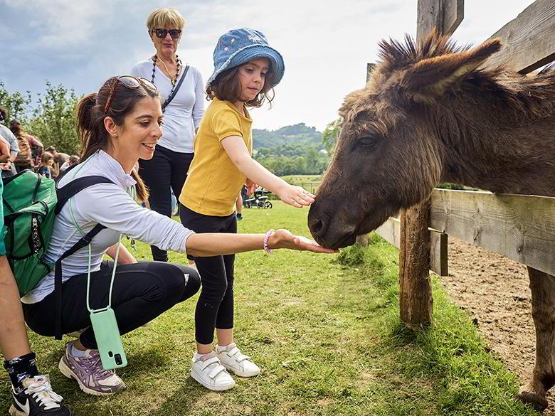 Imagen de la visita a una granja en Asturias