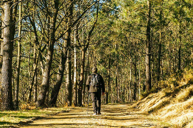 Image de la route du pic Paradiella