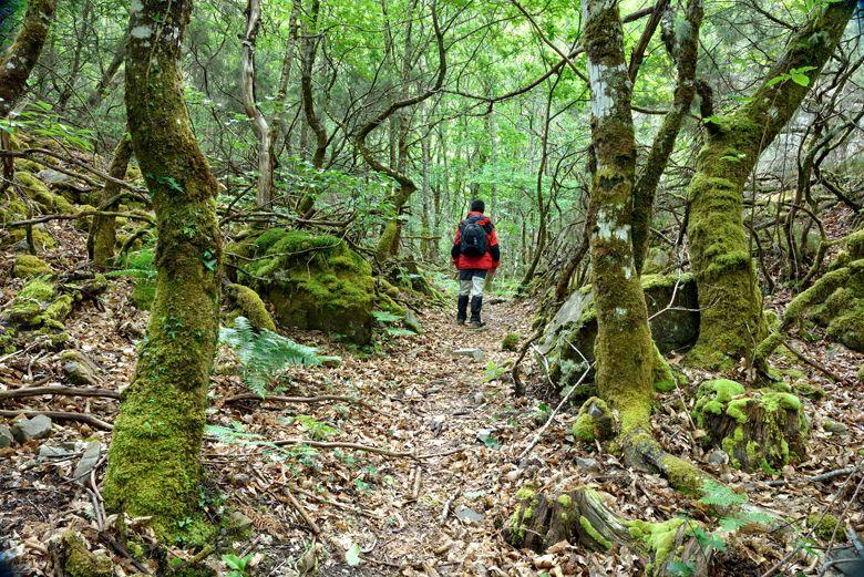 Route der Stille in Villanueva de Oscos