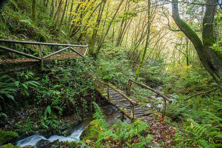 Il sentiero della via dell'acqua di Taramundi