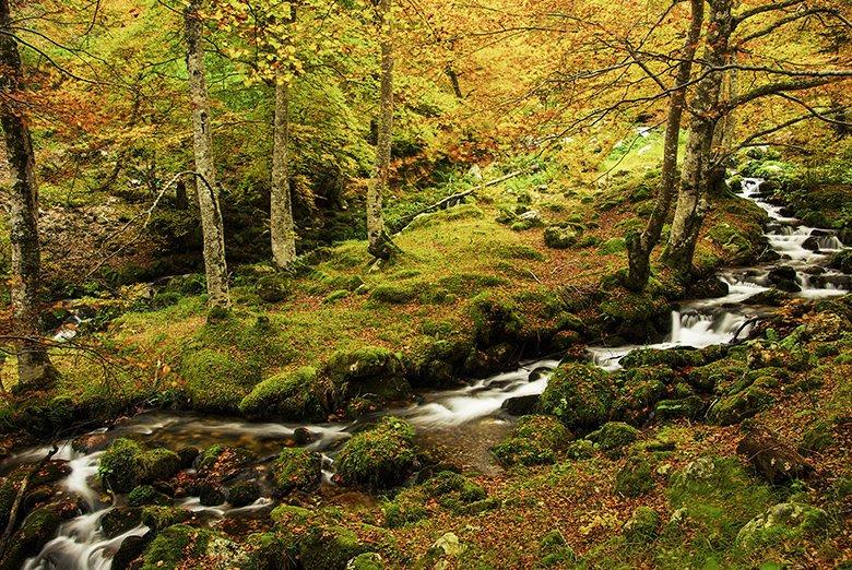 Photo de la rivière Ablanosa (Caso)