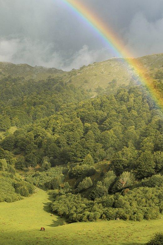 Photo d'un arc-en-ciel dans la plaine alluviale de Brañagallones (Caso)