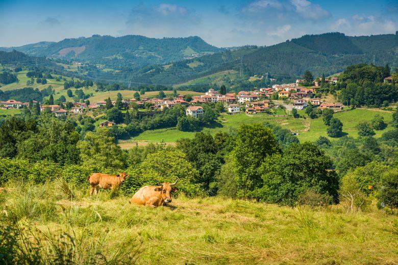 Imagen de Ceceda (Nava)