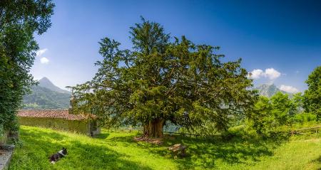 Imagen 10 villages de conte de fées dans les Asturies - 2e partie