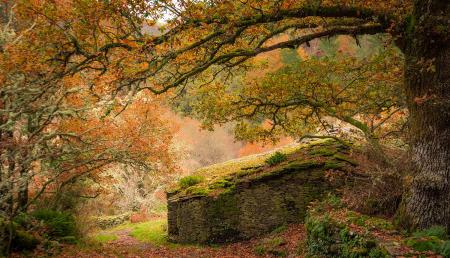 Imagen Lieux d'escapade dans les Asturies