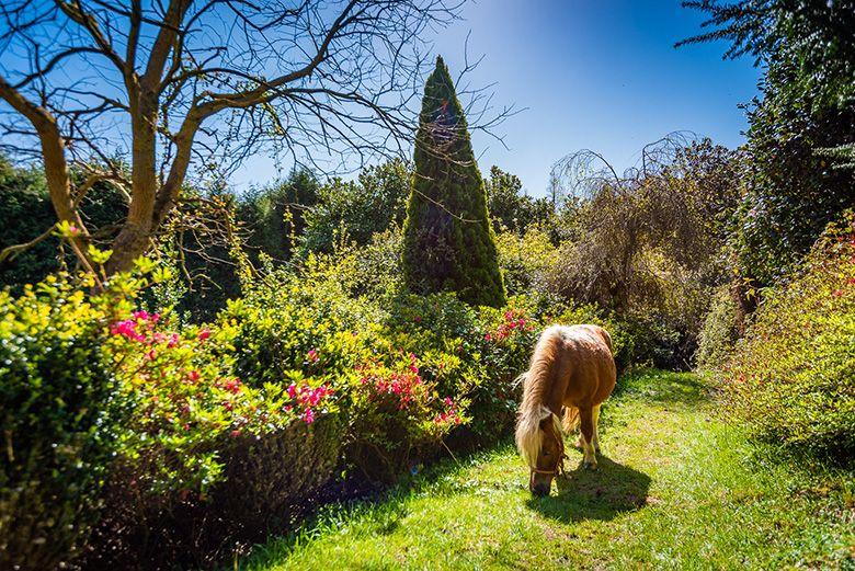 Jardines de la Fonte Baixa en Luarca/Lluarca