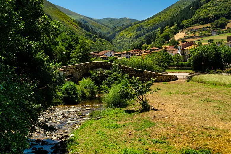 Image of Tuña (Tineo)