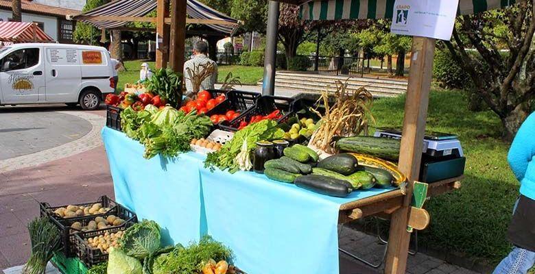 Photo d'un étal au marché de Grado