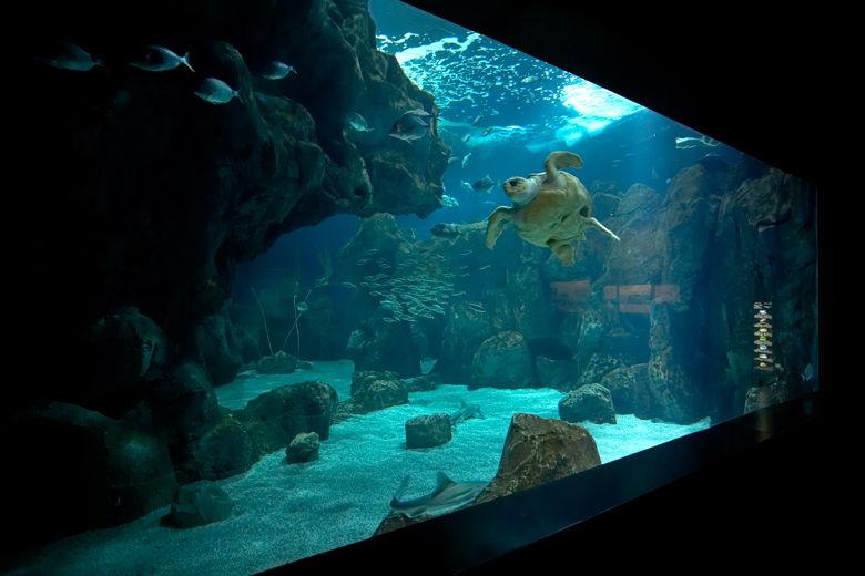 Gijón Aquarium