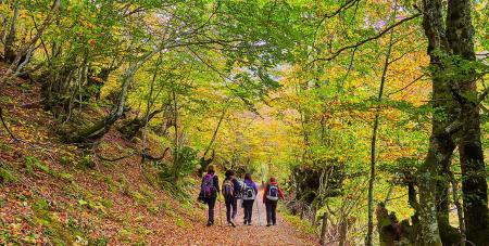 Viaje de Agentes Naturaleza y Senderismo. OET Roma