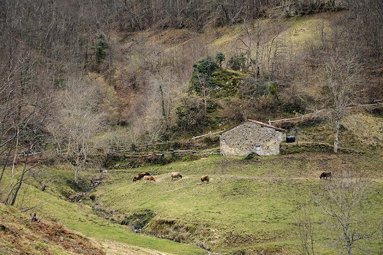 Immagine di una capanna sull'itinerario delle Foces de El Pino