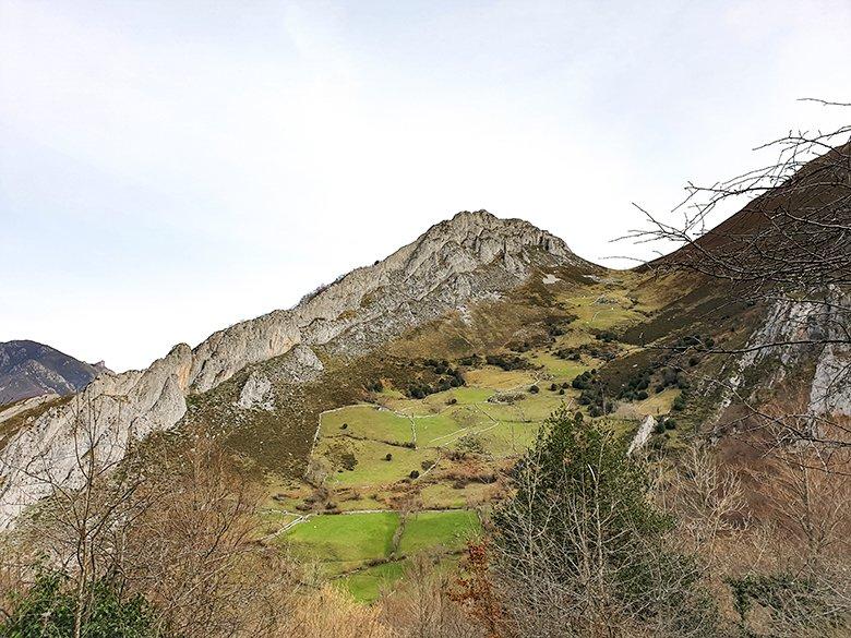 Bild der Wiesen auf der Route Foces de El Pino