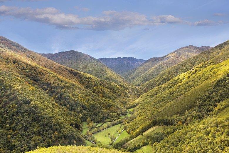 Imagem de Muniellos (Cangas del Narcea)