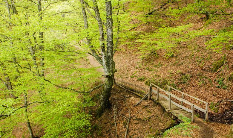 Itinéraire dans le parc naturel de Redes