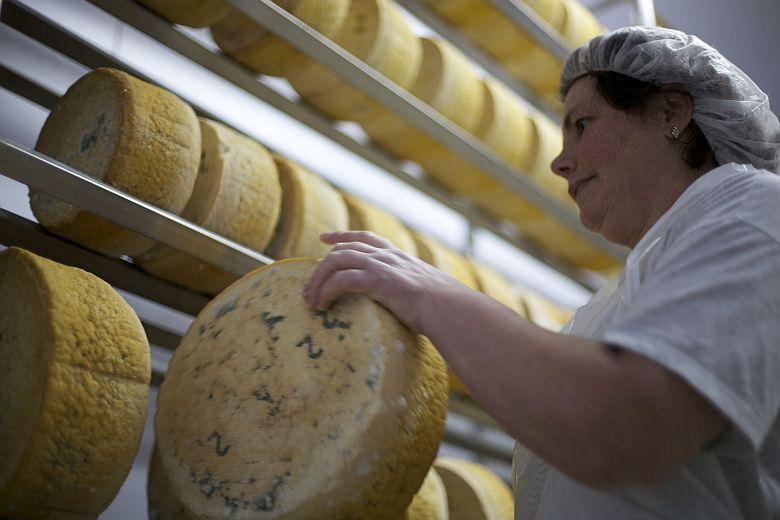 Imagem de uma fábrica de queijo em Cangas de Onís