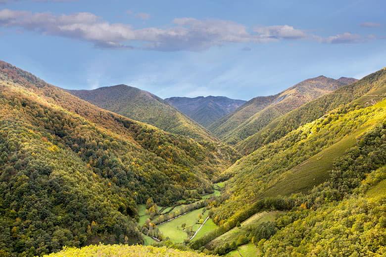 Imagem da floresta de Munieḷḷos (Cangas del Narcea)