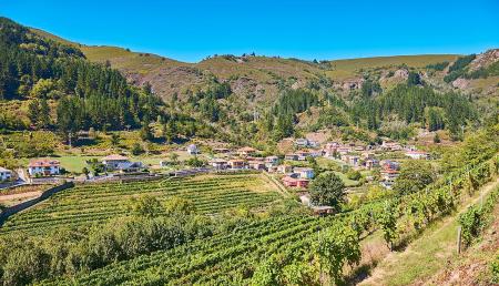 Imagen Die 10 besten Dinge zu sehen und zu tun in Cangas del Narcea