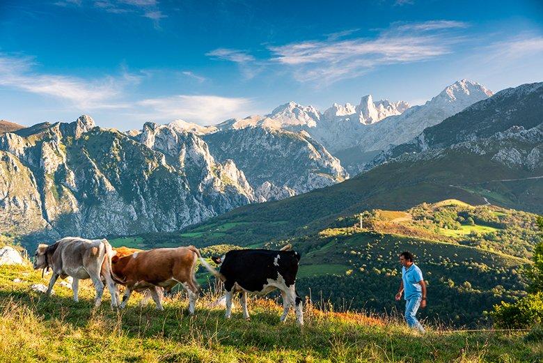 Imagen de una escena rural en Asiegu (Cabrales)