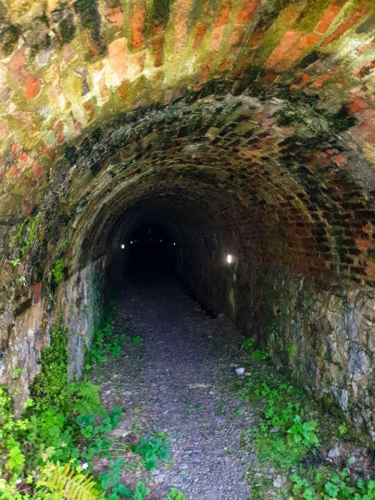 Image of the interior of the trawling gallery