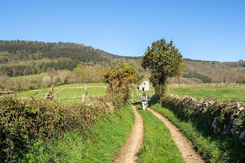 Image de la route de Penouta