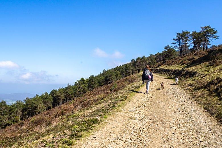 Image de la route de Penouta