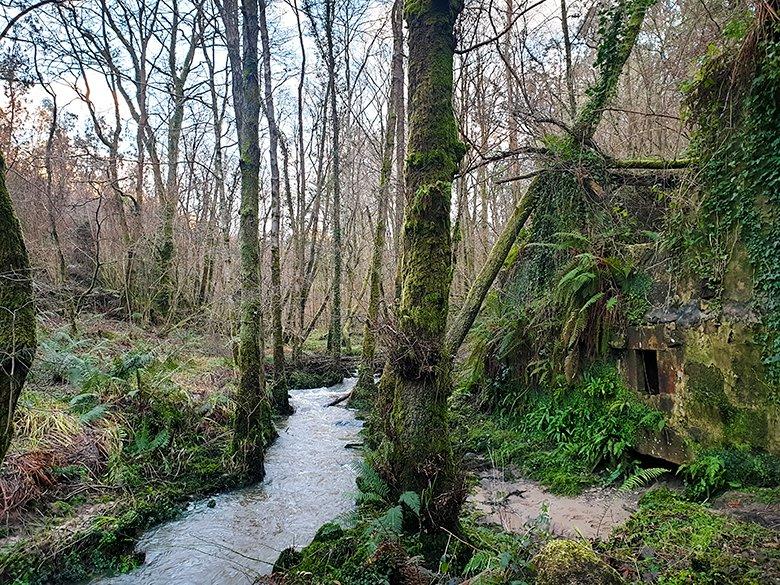 Das Bild der Molín Carbonera