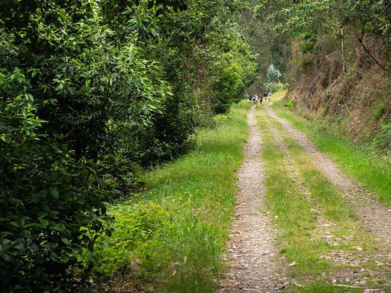 Imagem do trajeto dos caminhos-de-ferro