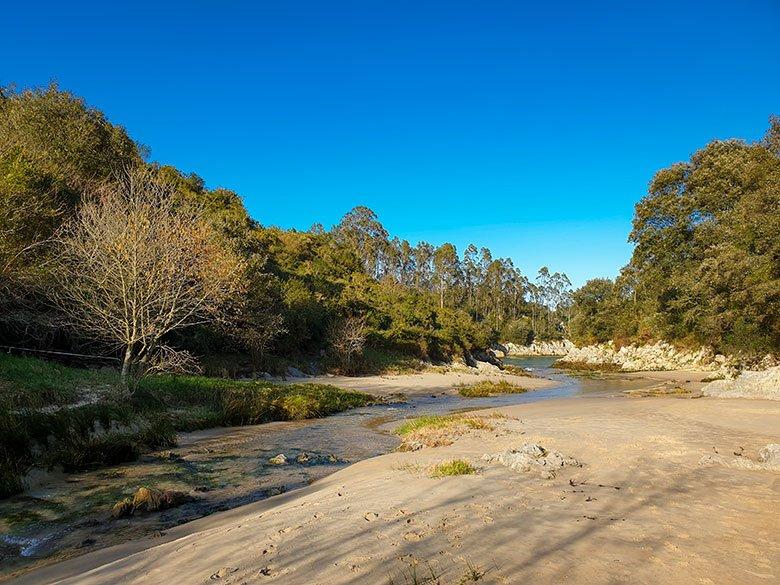 Image de la plage de la rivière