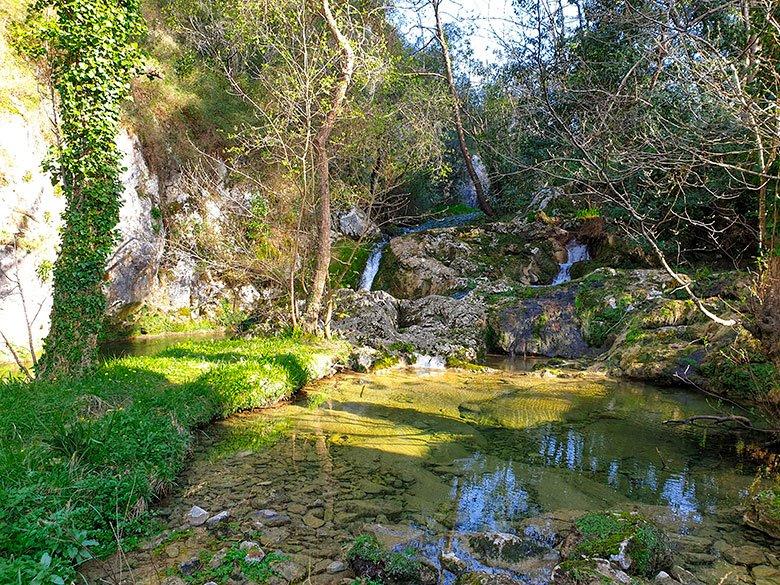 Image of the Poza and waterfalls