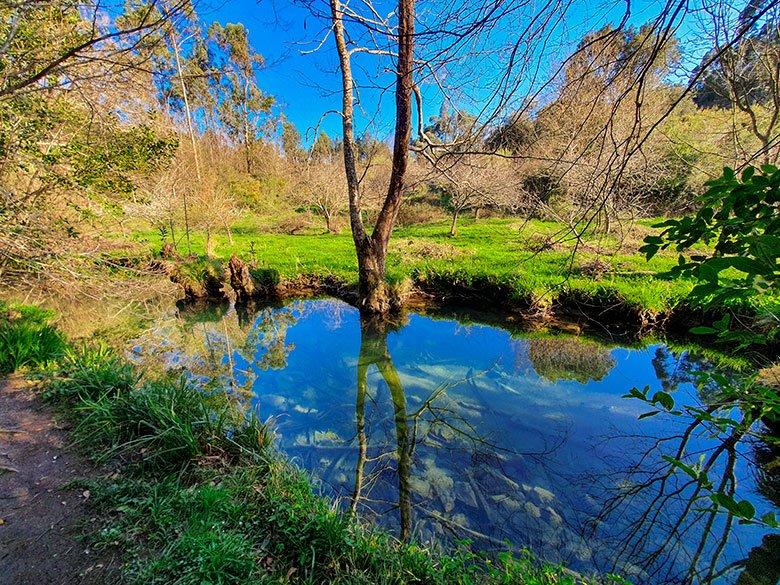 Imagem de La senda del río Guadamía (Caminho do rio Guadamía)