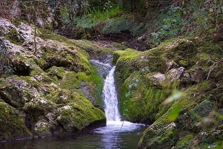 Immagine di La senda del río Guadamía (sentiero del fiume Guadamía)